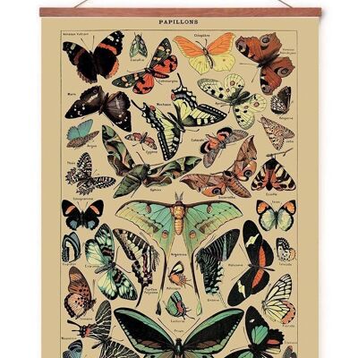 Poster in poster hanger - Butterflies