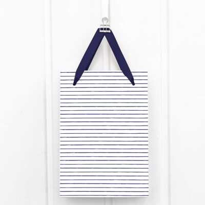 Gift bag: blue stripes