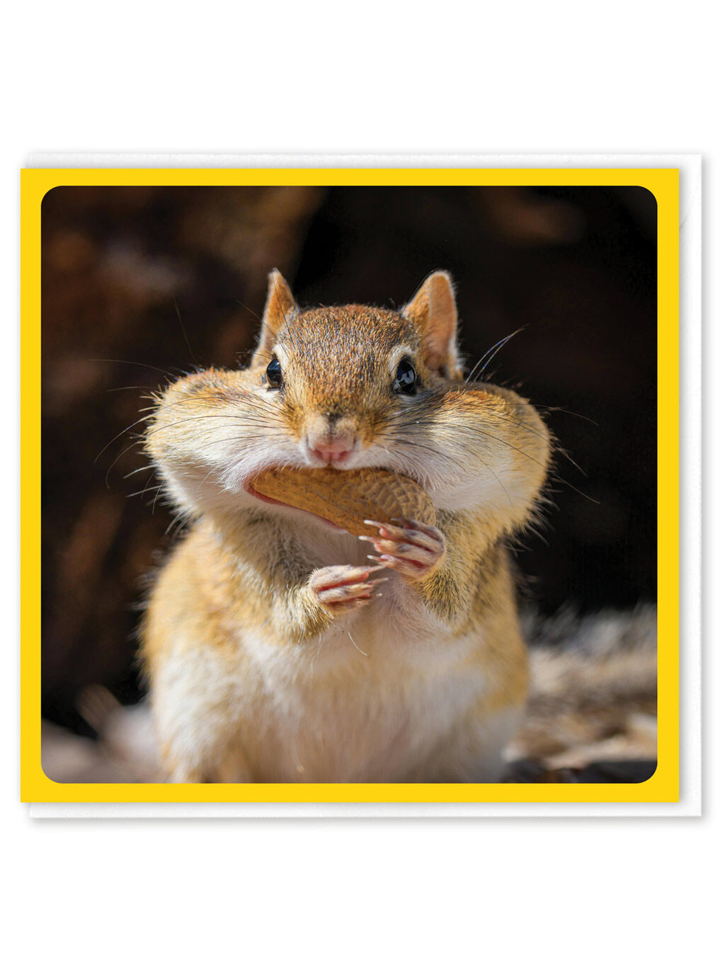 Funny Greetings Card - Peanut Cheeks by Brainbox Candy