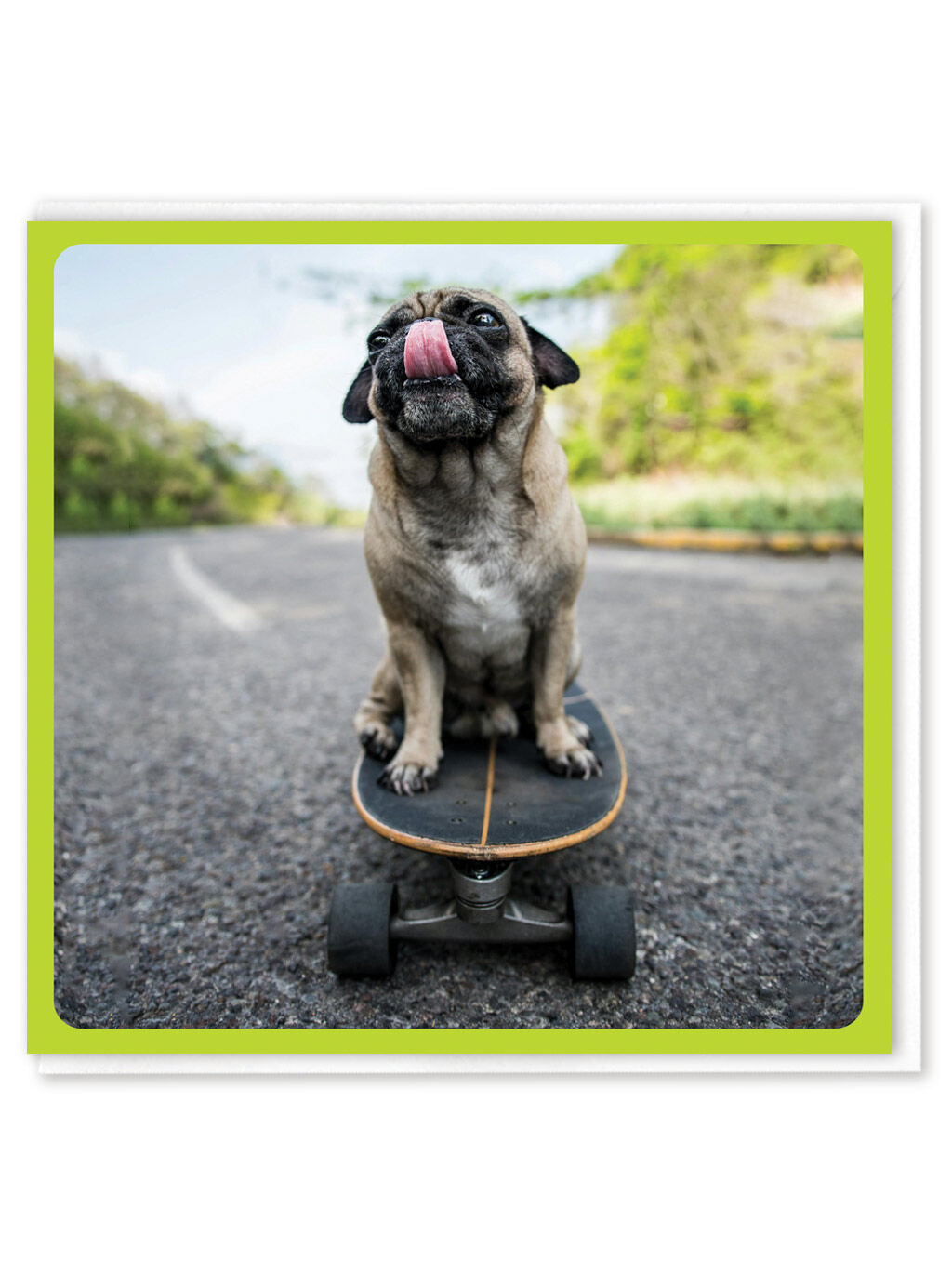 Funny Greetings Card - Skating Licked by Brainbox Candy