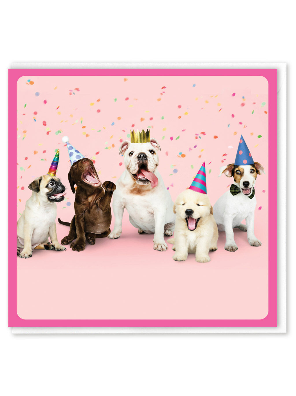 Funny Greetings Card - Dog Party by Brainbox Candy