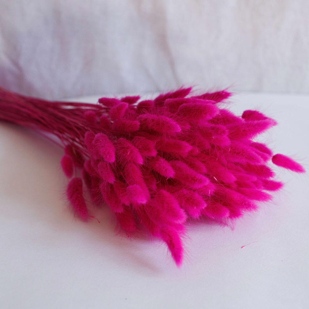 Stivali fucsia Lagurus
