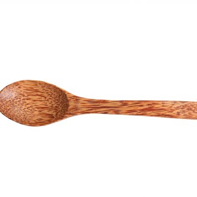 Coconut Spoon__default