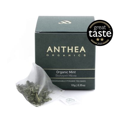 Organic mint plastic free tea bags