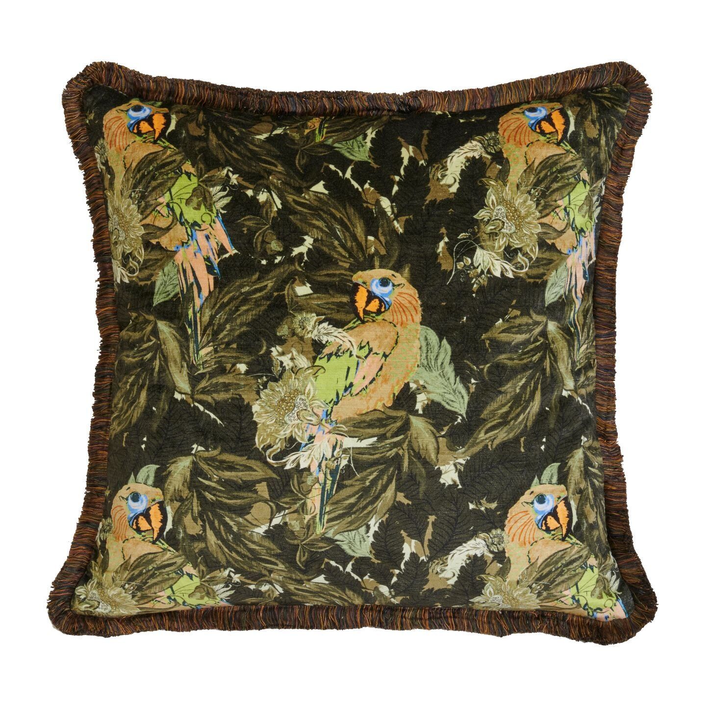 Royal Macaw 60x60 Cushion