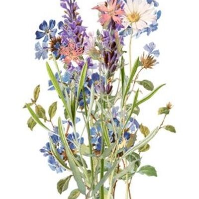 Sustainable postcard wild flowers