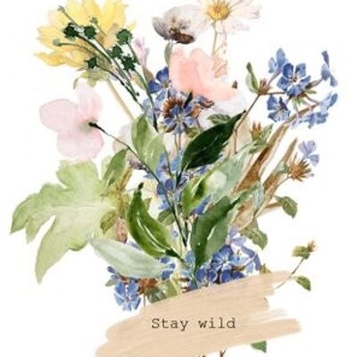 Sustainable postcard stay wild