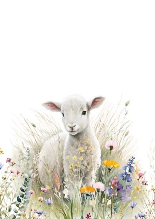 Sustainable farm animal lamb