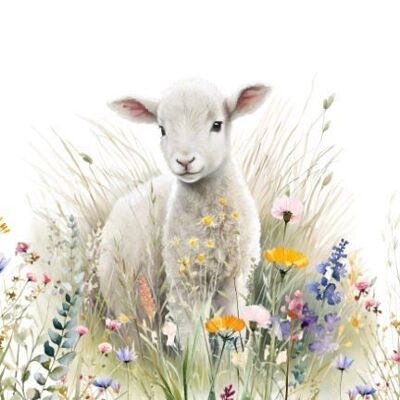 Sustainable farm animal lamb