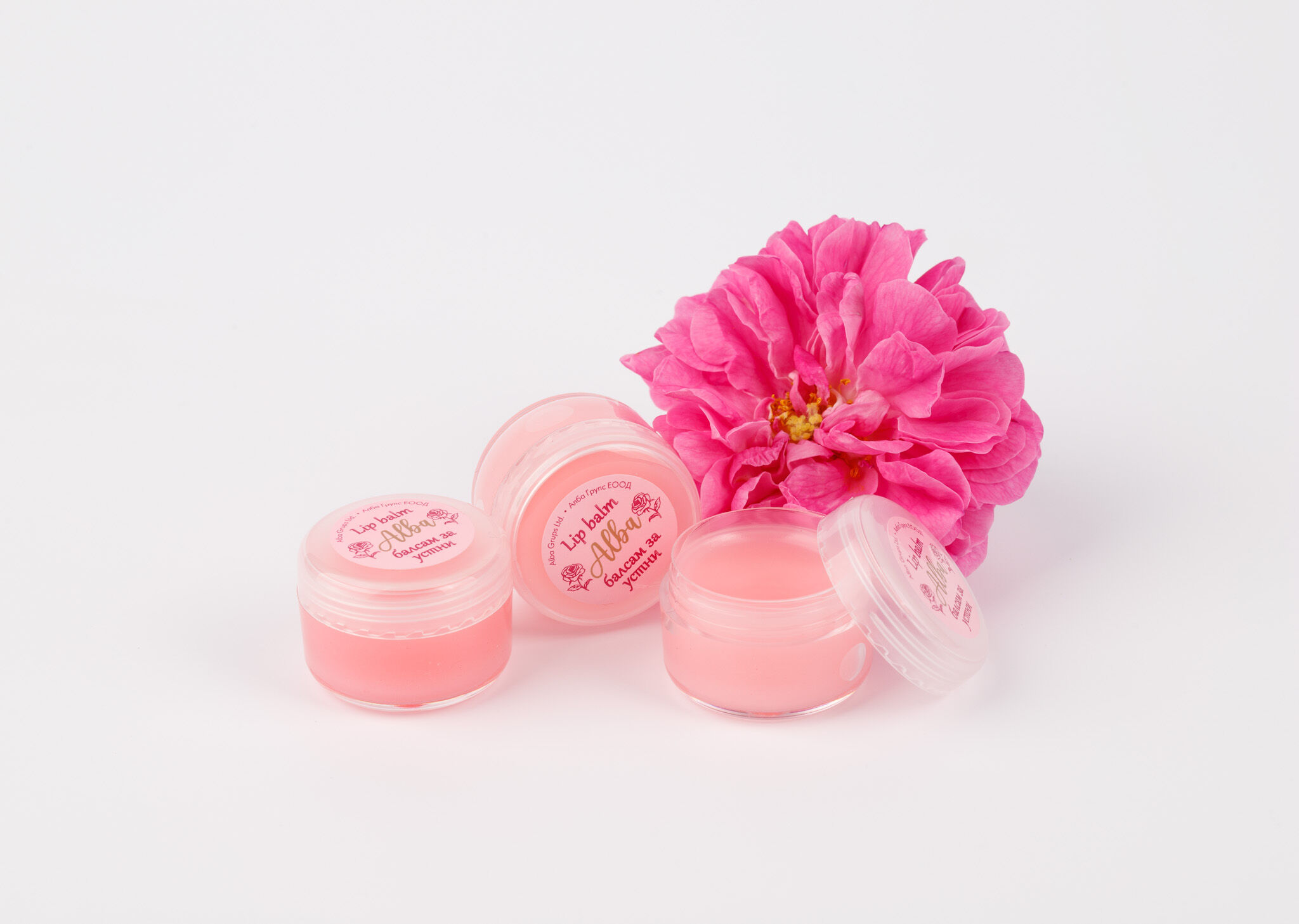 Bulgarian Rose Lip Balm — Nourishing Care with Beeswax, Shea Butter & Coconut Oil — 5ml