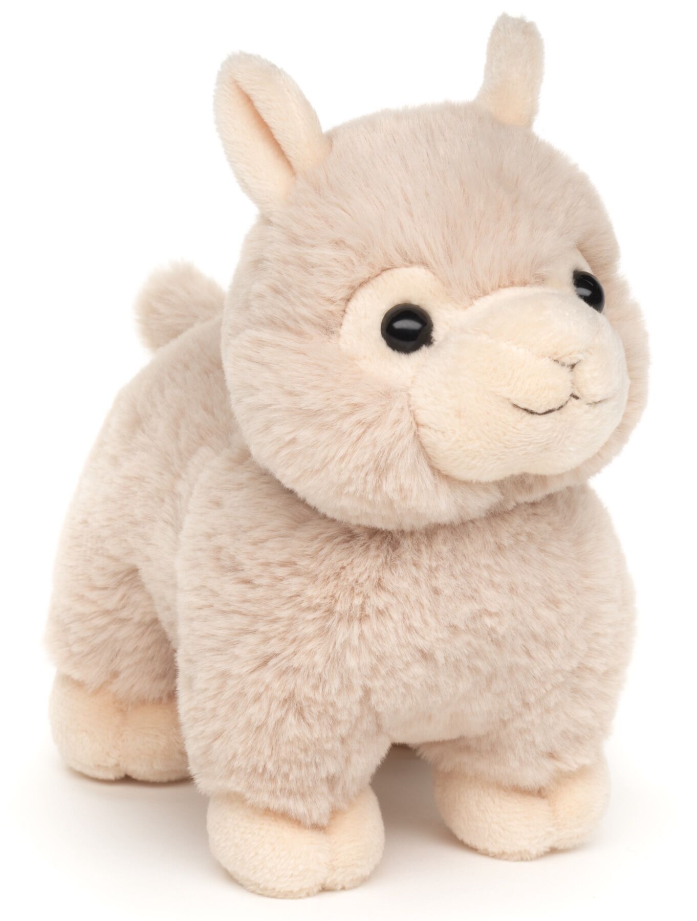 Alpaka, stehend - 18 cm (Länge) - Keywords: Exotisches Wildtier, Lama, Plüsch, Plüschtier, Stofftier, Kuscheltier