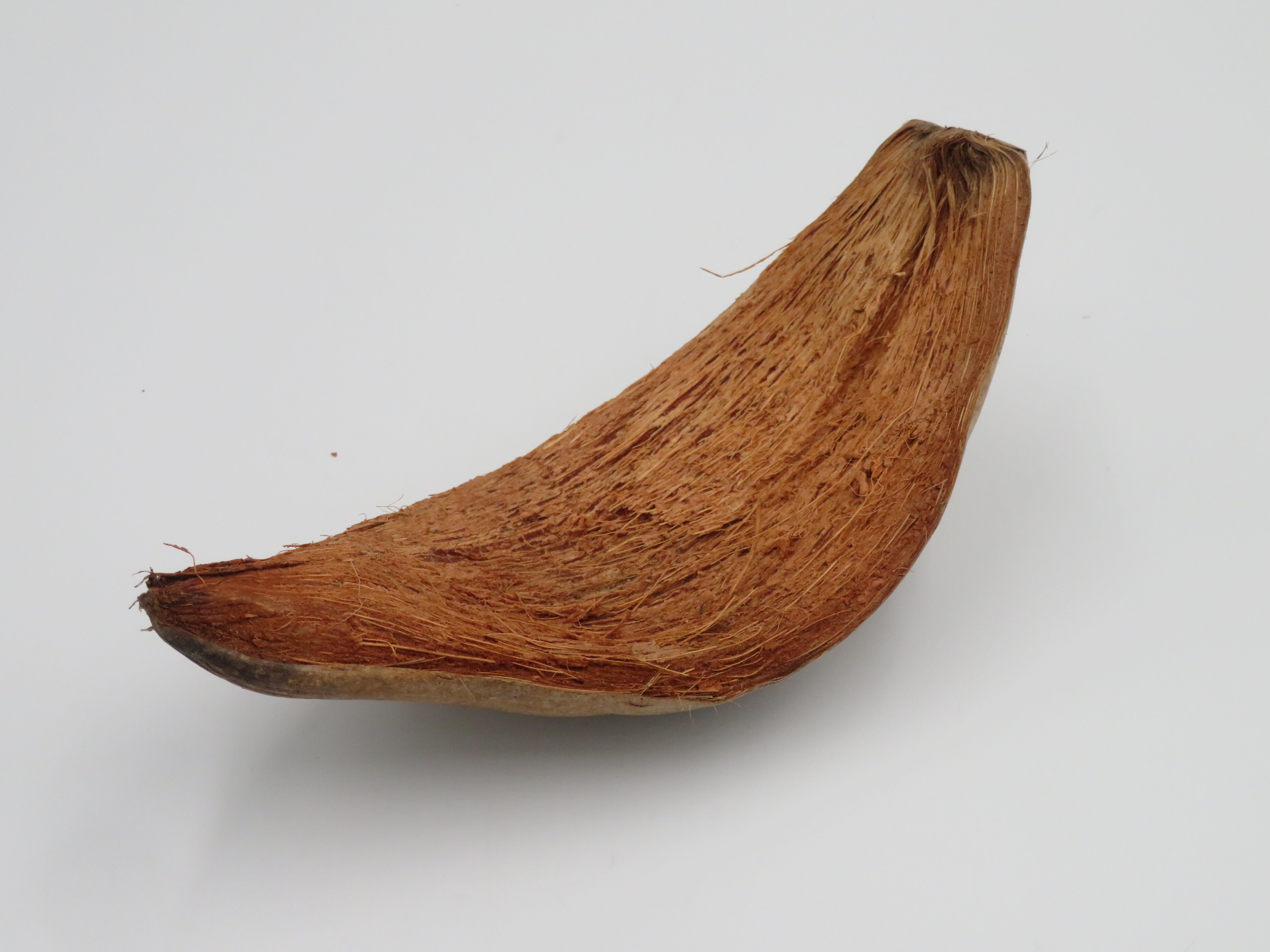 coconut fiber shell - coco skin