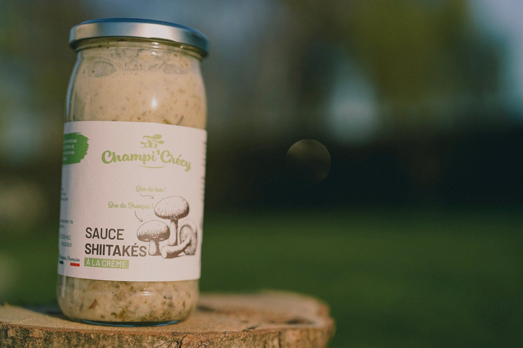 Sauce Shiitakés à la Crème