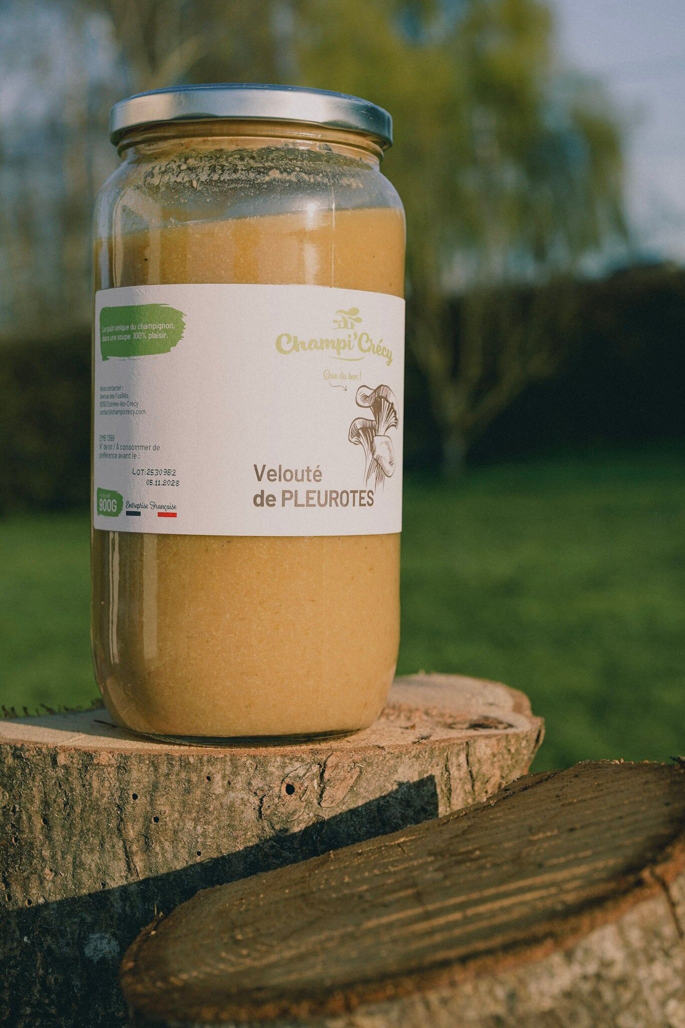Velouté de Pleurotes