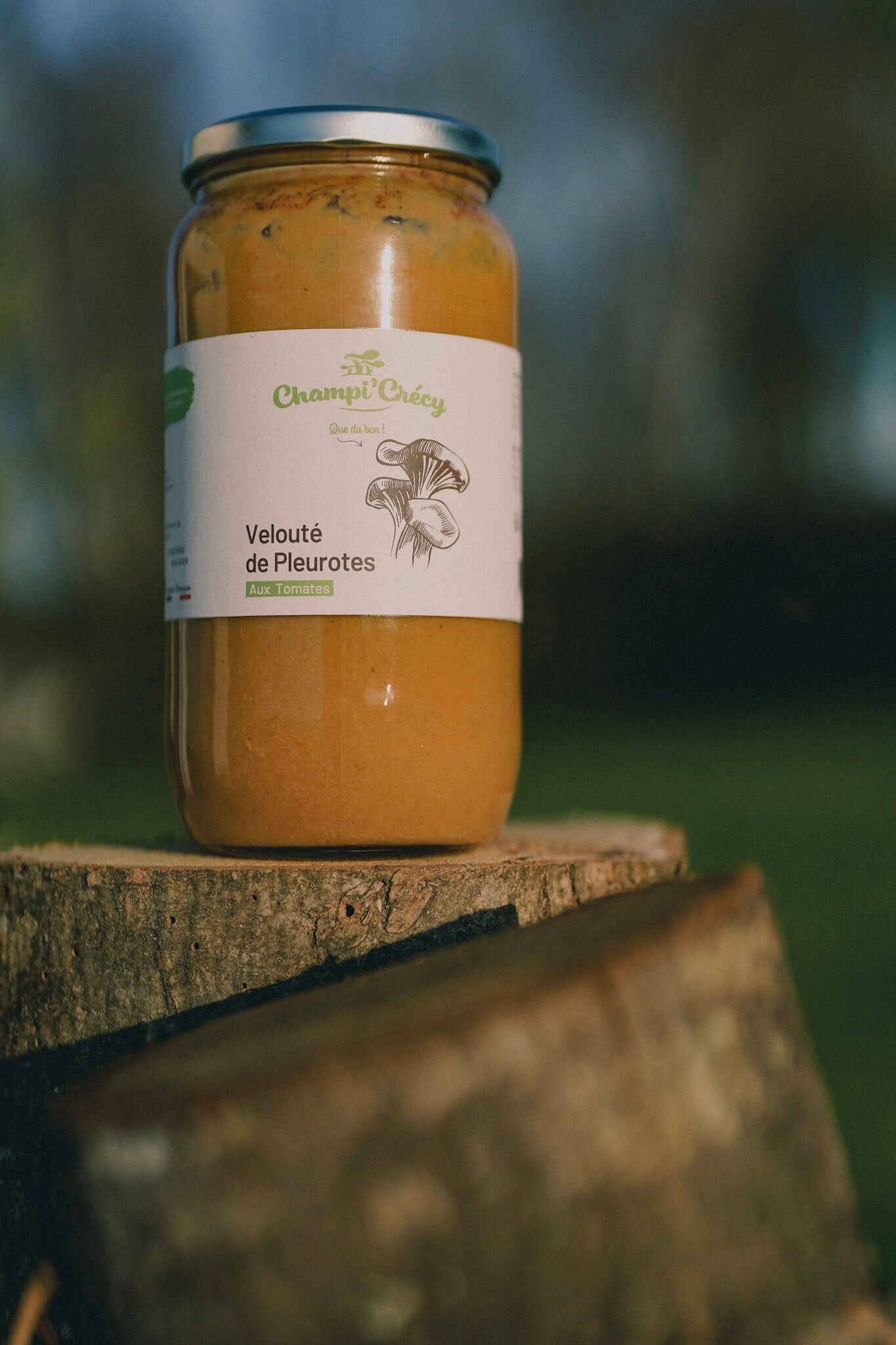 Velouté de pleurotes à la tomate