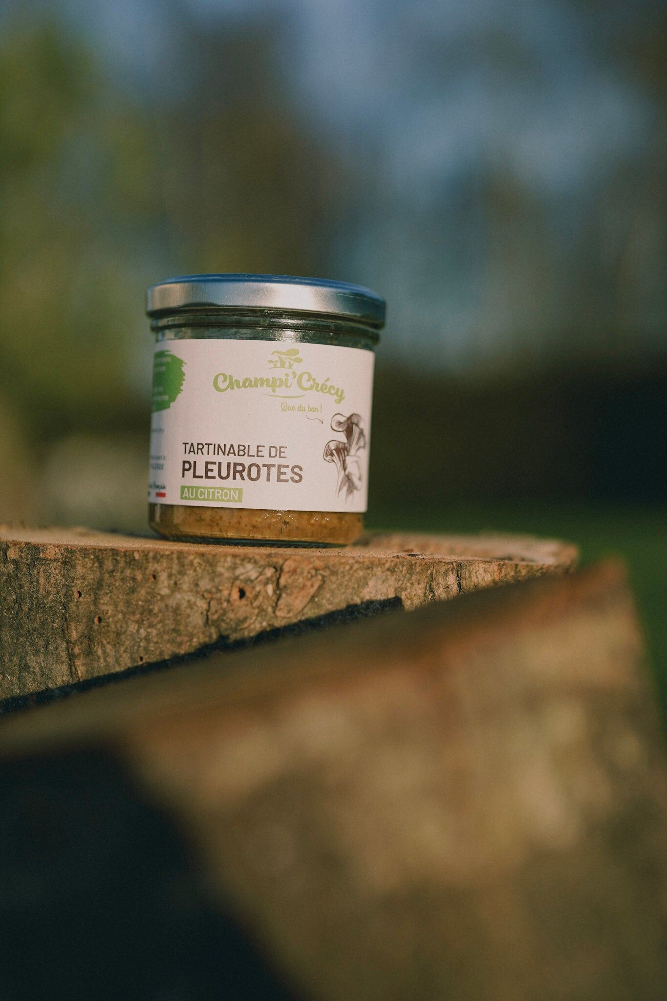 Tartinable de Pleurotes au Citron
