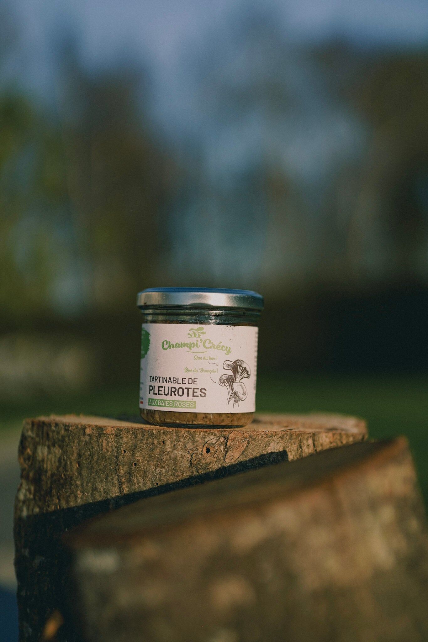 Tartinable de Pleurotes aux Baies Roses