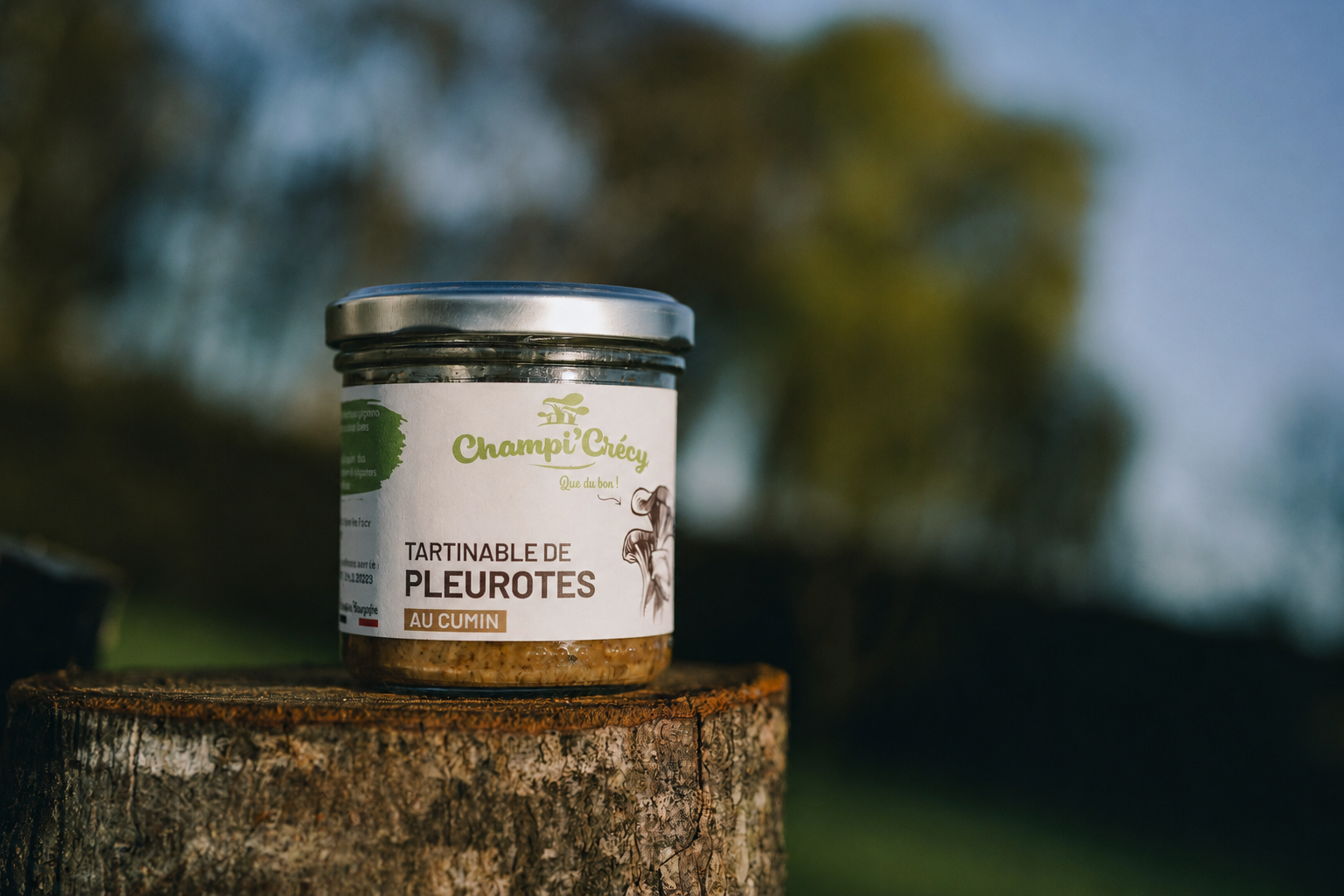 Tartinable de Pleurotes au Cumin