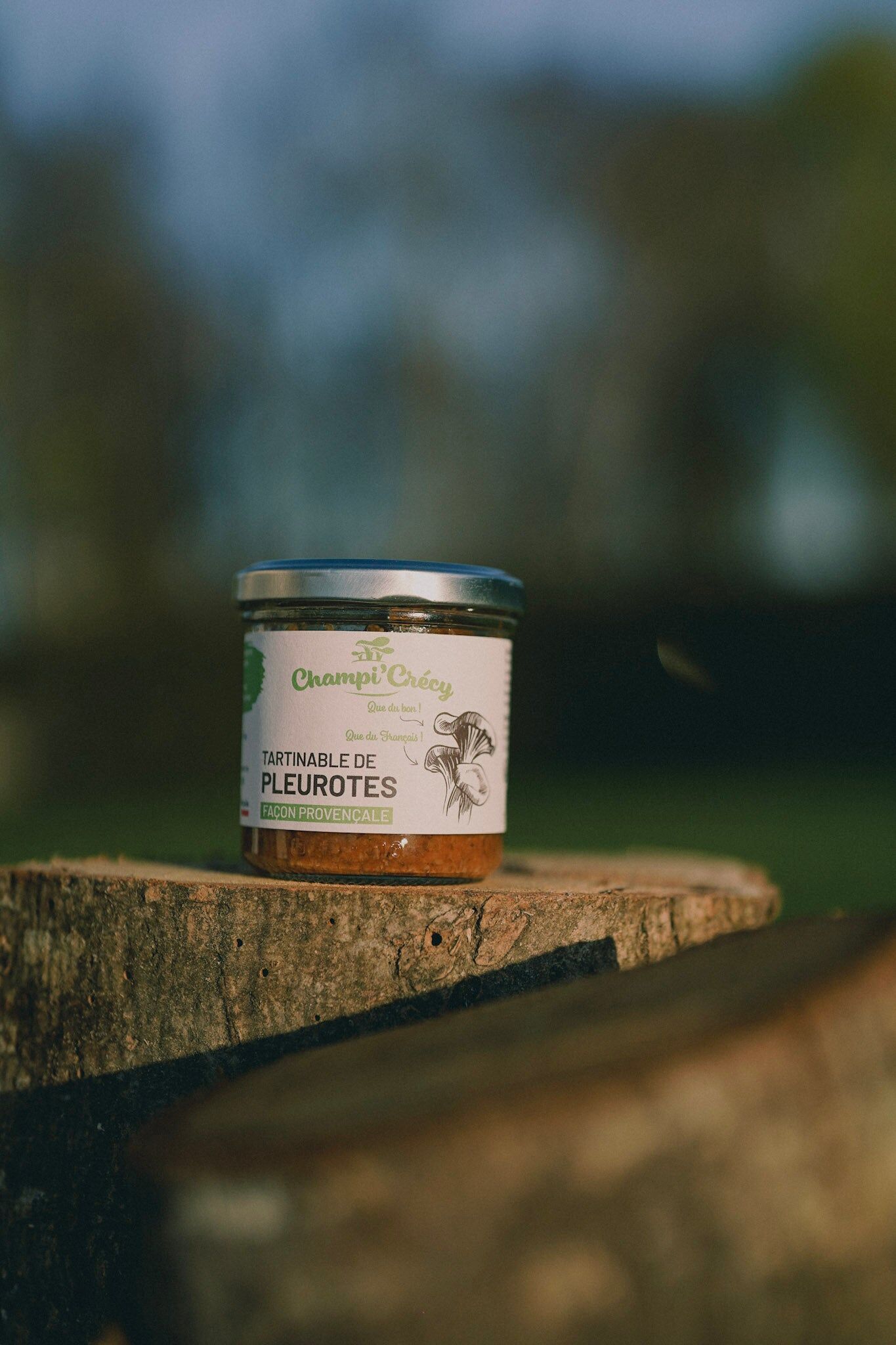 Tartinable de pleurotes à la provençale