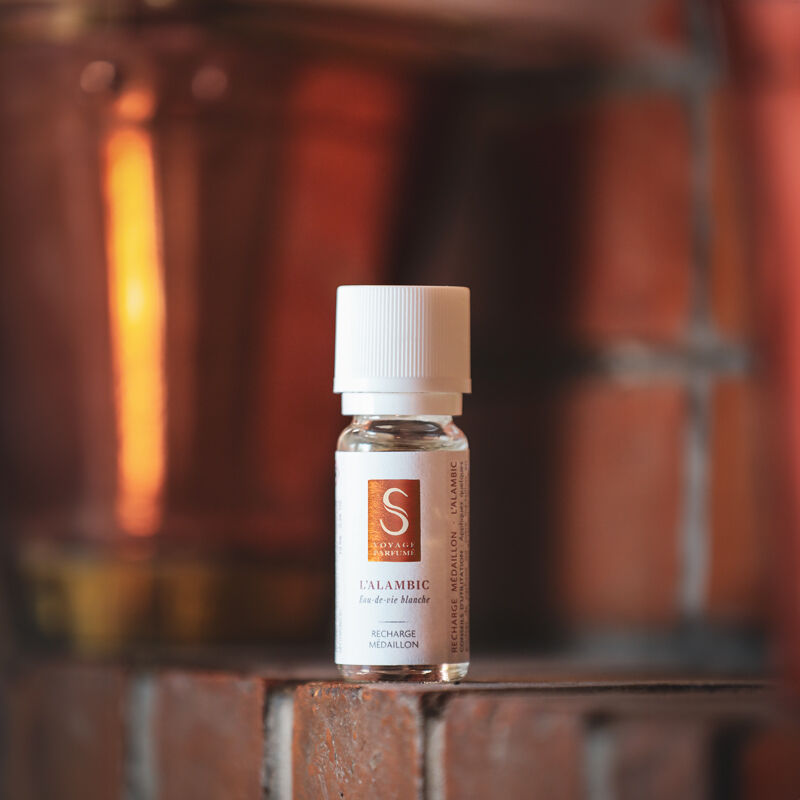 The Alembic | Fragrance medallion refill — Limoges porcelain