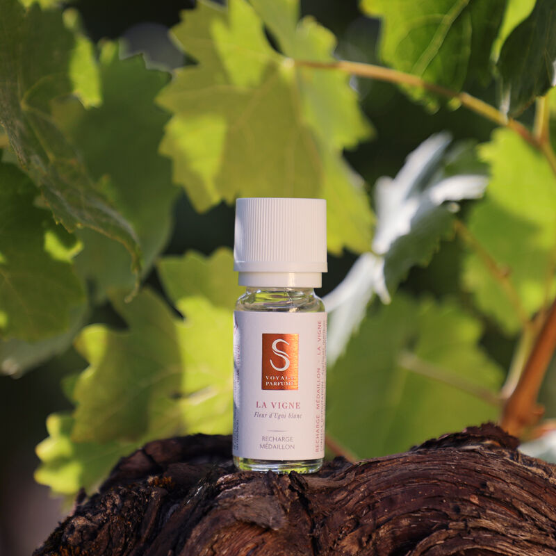 The Vine | Fragrance Medallion refill — Limoges Porcelain