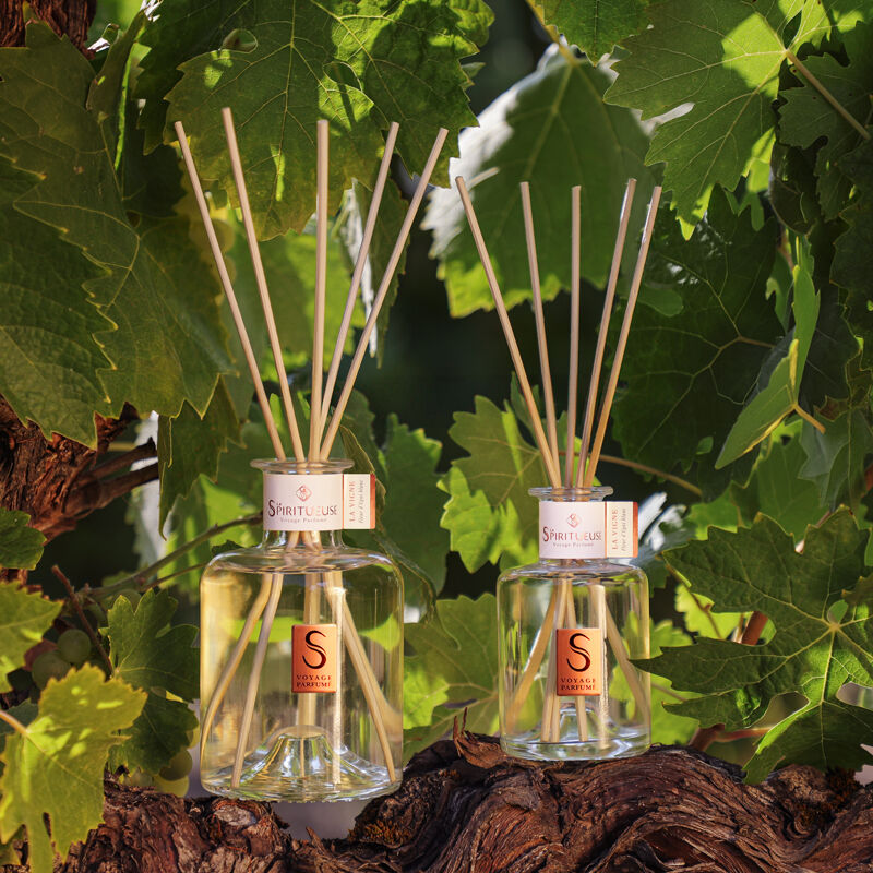 La Vigne｜Reed Diffuser 100ml/200ml｜french home fragrance