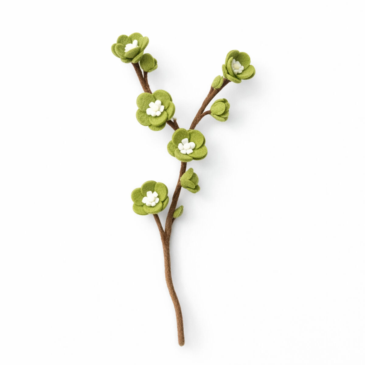 Kirschblüte groß grün weiß (10E-CHER-BLSM-GRNWH)