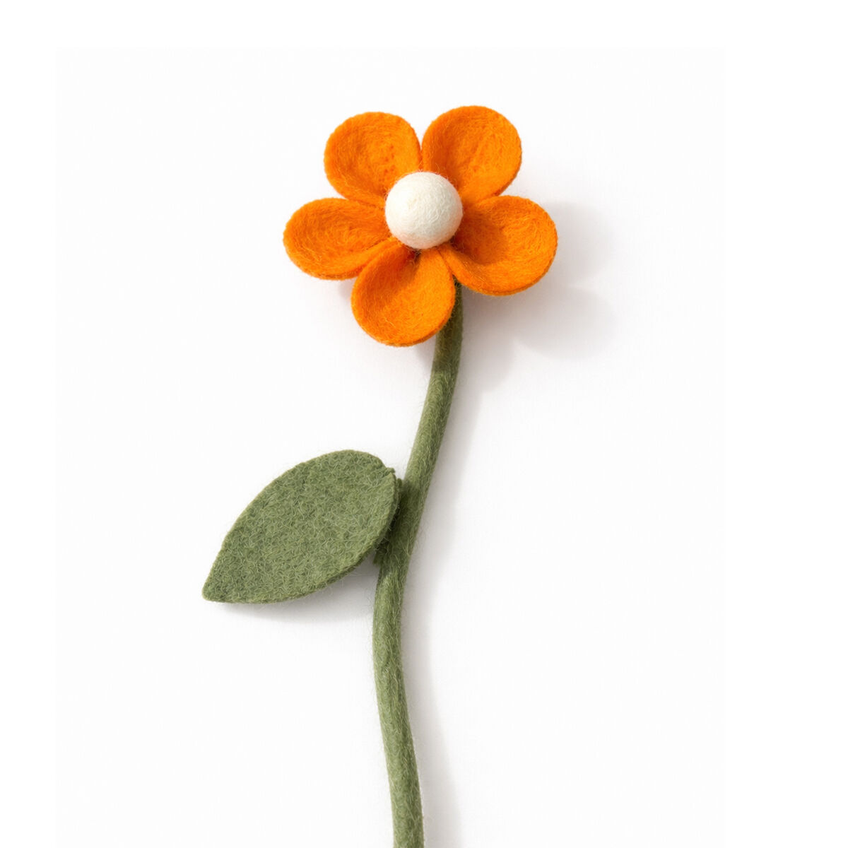 Daisy orange (11E-DAISY-ORYE)