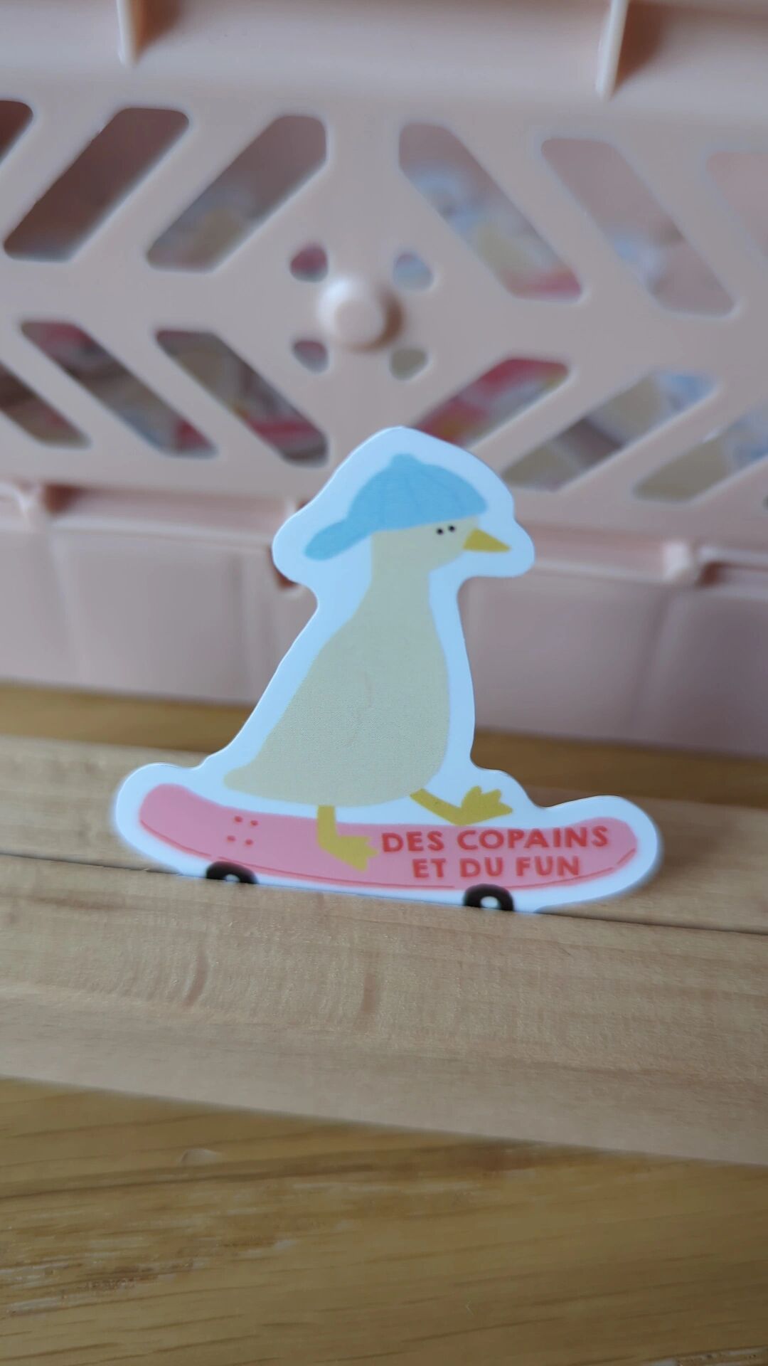 Stickers: Friends and fun (skate)