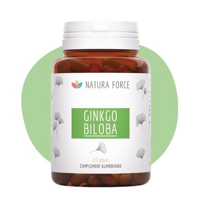 Ginkgo Biloba