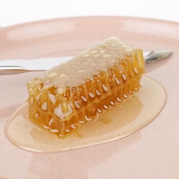 Dalle de peigne de miel d'acacia brut de luxe en nid d'abeille d'acacia fraîchement sortie de la ruche 4