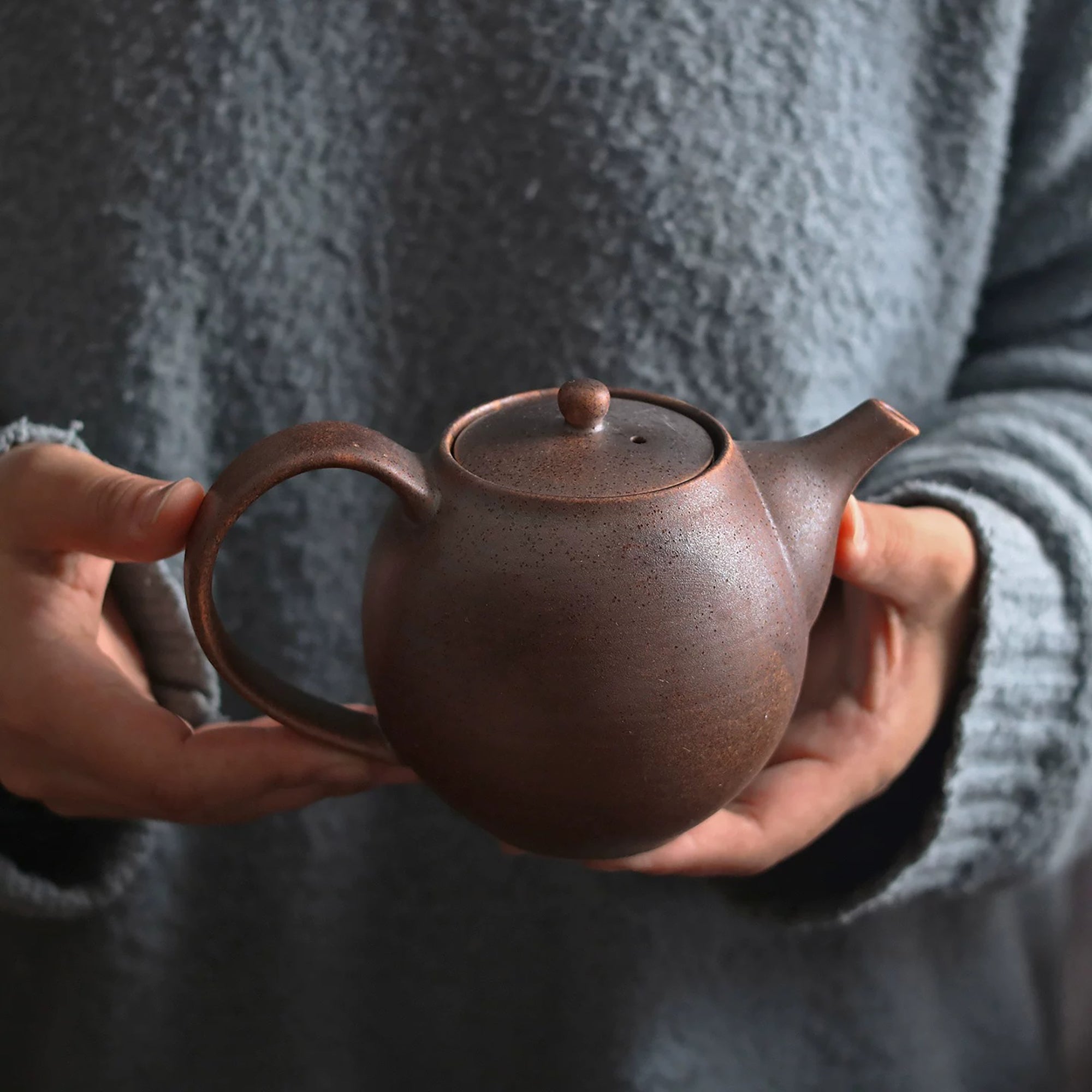 Shigaraki ceramic teapot
