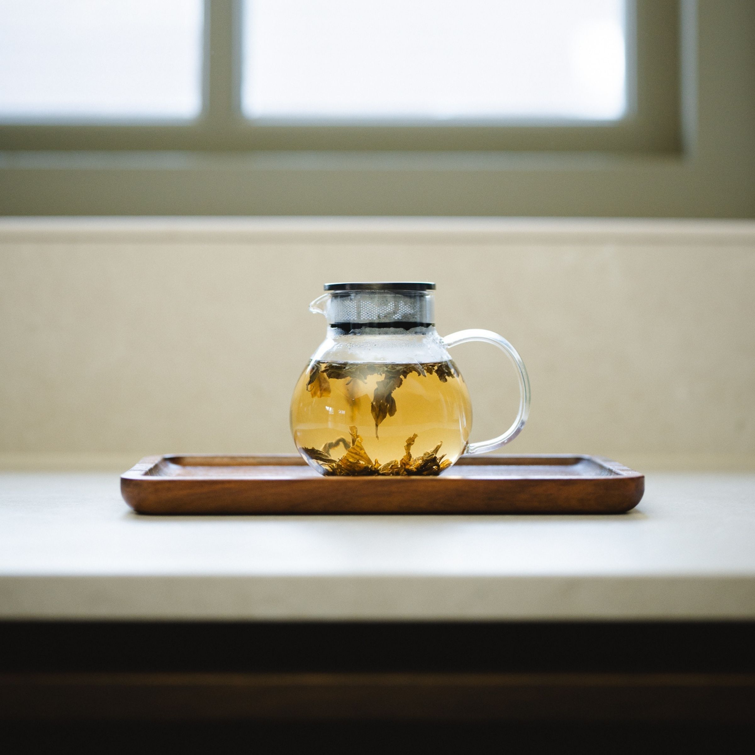 Teamaster - 500ml single-walled teapot