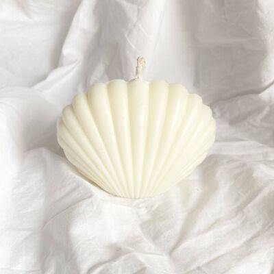 Seashell - Natural Soy