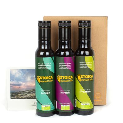 Box In Umbrien mit Stoica - Bio-Olivenöle extra vergine