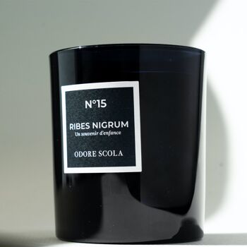 Bougie parfumée "Ribes Nigrum" 2