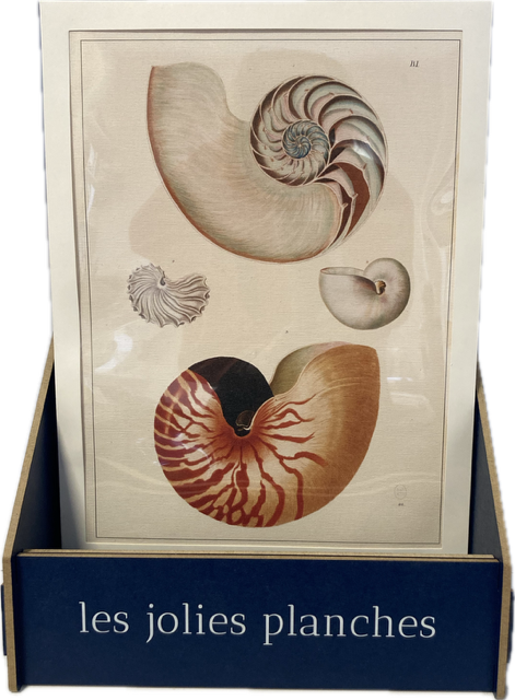 Discovery Pack - Posters The Pretty Boards