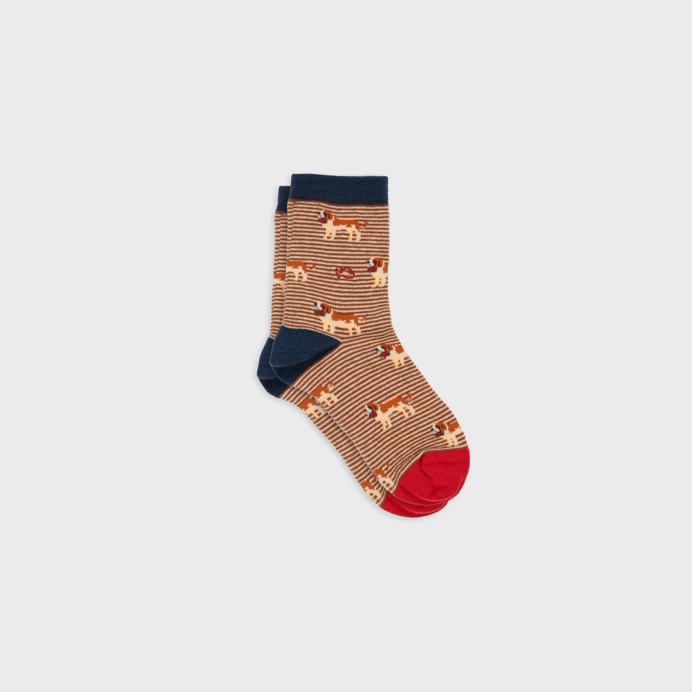 Chaussettes garçon animaux - Saint-bernard