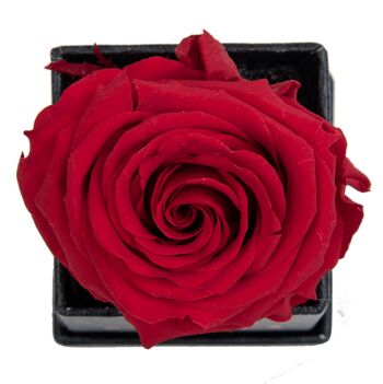 1 rose éternelle parfumée Rouge Passion - Box carrée Noire 2