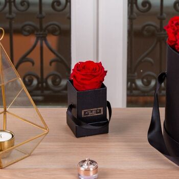 1 rose éternelle parfumée Rouge Passion - Box carrée Noire 3