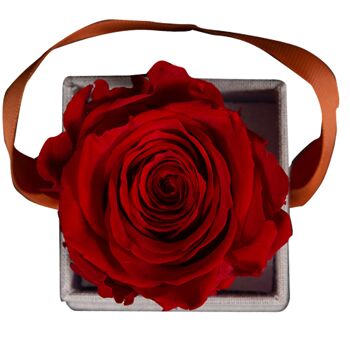 1 rose éternelle parfumée Rouge Passion - Box carrée Grise 2