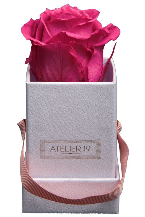 1 rose éternelle parfumée Fuchsia Peps - Box carrée Blanche