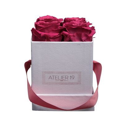 4 rose eterne profumate Fuchsia Peps - Scatola quadrata bianca