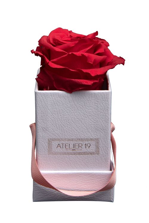 1 rose éternelle parfumée Rouge Passion - Box carrée Blanche