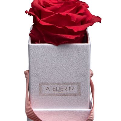 1 rose éternelle parfumée Rouge Passion - Box carrée Blanche