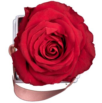 1 rose éternelle parfumée Rouge Passion - Box carrée Blanche 2