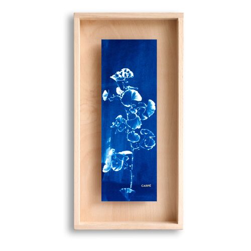 Cadre CYANOTYPE Ginkgo