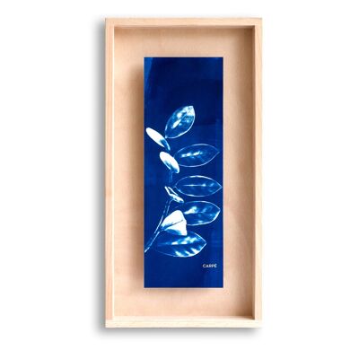 CYANOTYPE Plant ZZ Frame