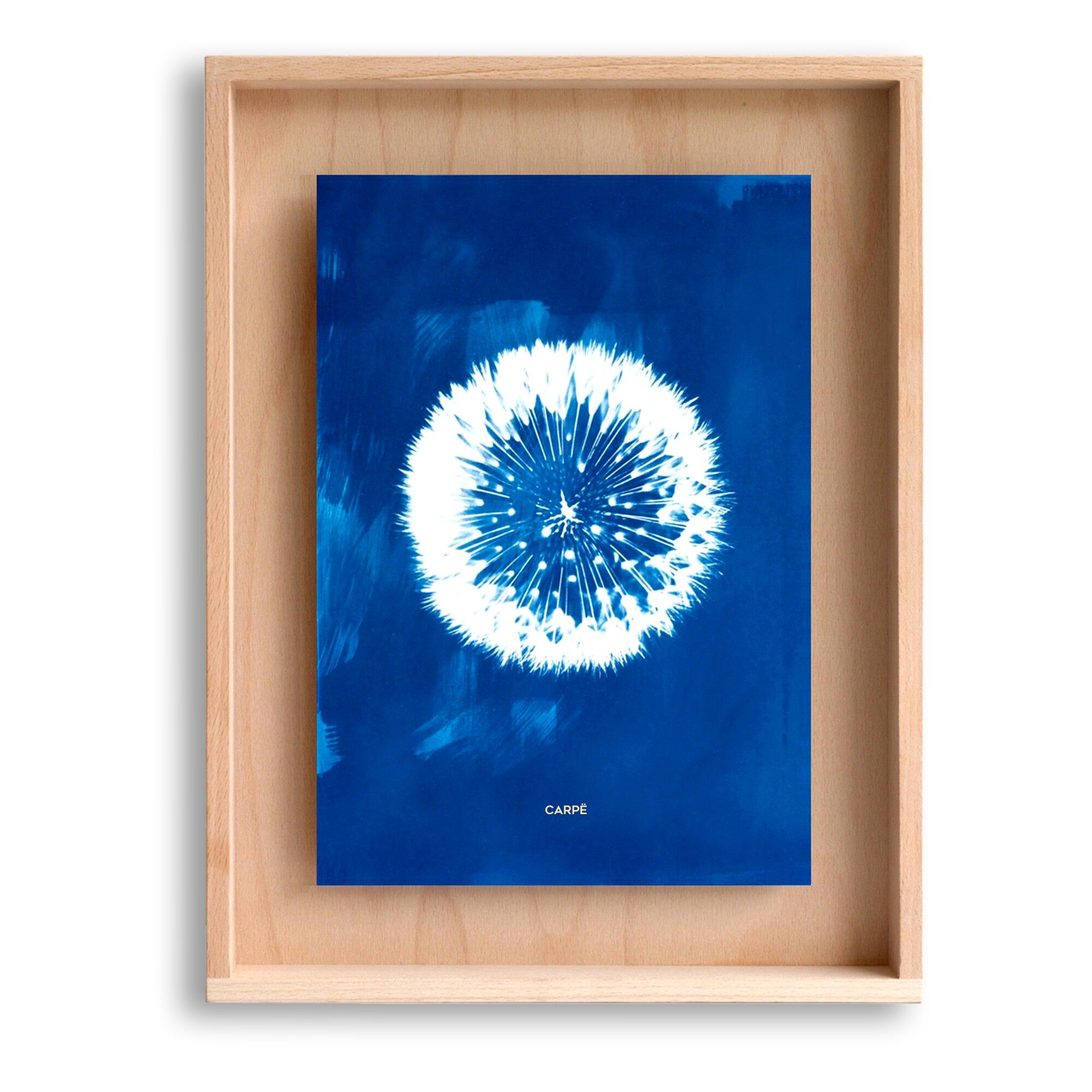 CIANOTIPO Cornice dente di leone