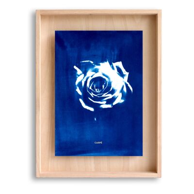 Cadre CYANOTYPE Rose